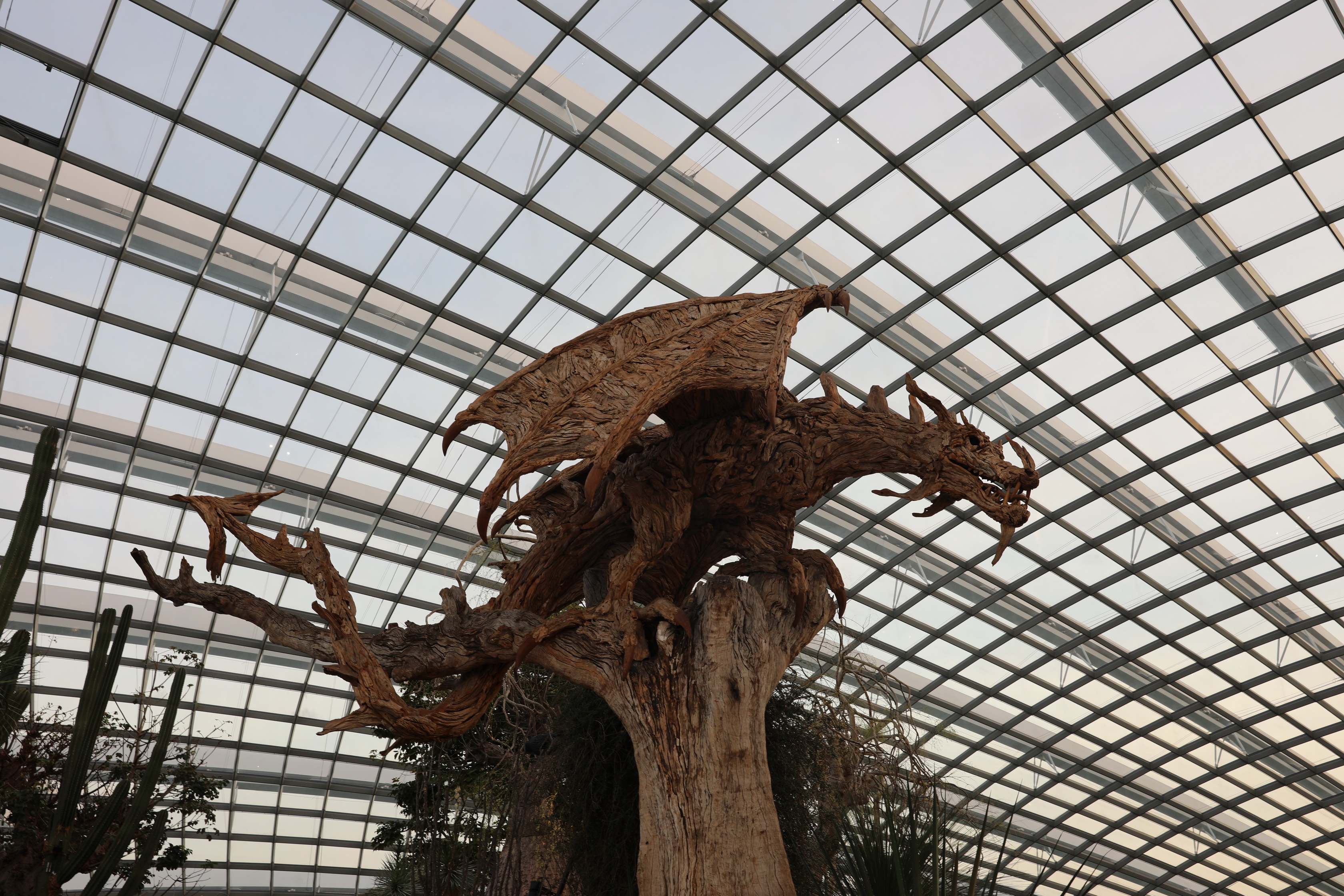 2020 02 03 19 03 25 Canon EOS 5D Mark IV 0072